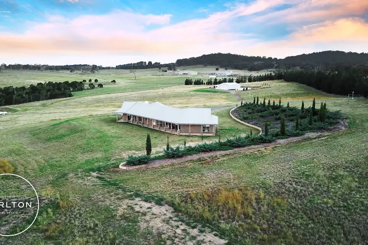Sixth view of Homely rural property listing, 41 Munro Road, Carrick NSW 2580