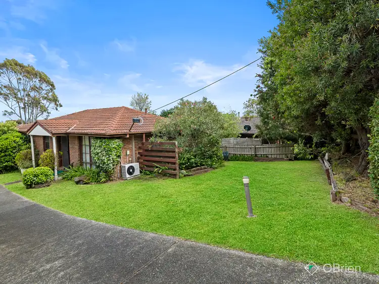 Third view of Homely unit listing, 1/33 Hillcrest Road, Frankston VIC 3199