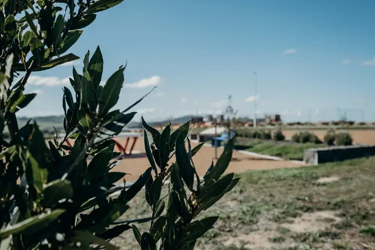 Seventh view of Homely townhouse listing, 10/119 McMichael Terrace, Denman Prospect ACT 2611