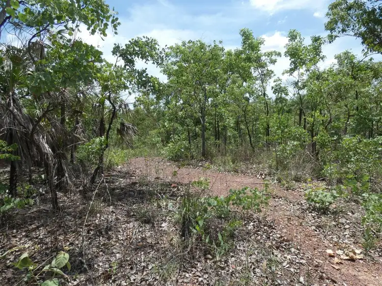 Second view of Homely rural property listing, 100 Heathers Lagoon Road, Lake Bennett NT 822