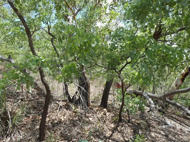 Third view of Homely rural property listing, 100 Heathers Lagoon Road, Lake Bennett NT 822