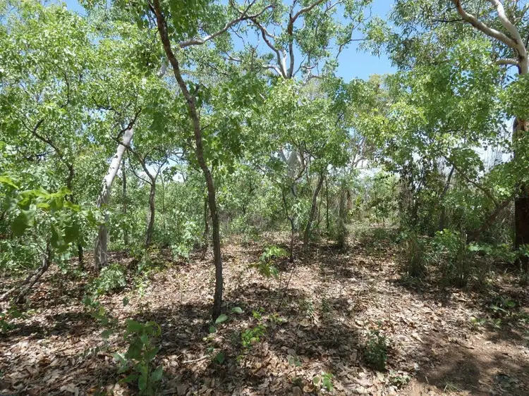 Fifth view of Homely rural property listing, 100 Heathers Lagoon Road, Lake Bennett NT 822