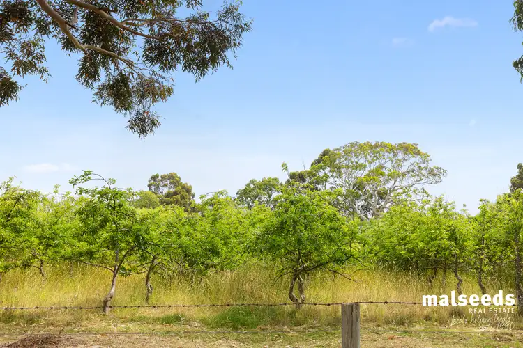 Main view of Homely rural property listing, 697 Old Kalangadoo-Penola Road, Moerlong SA 5278