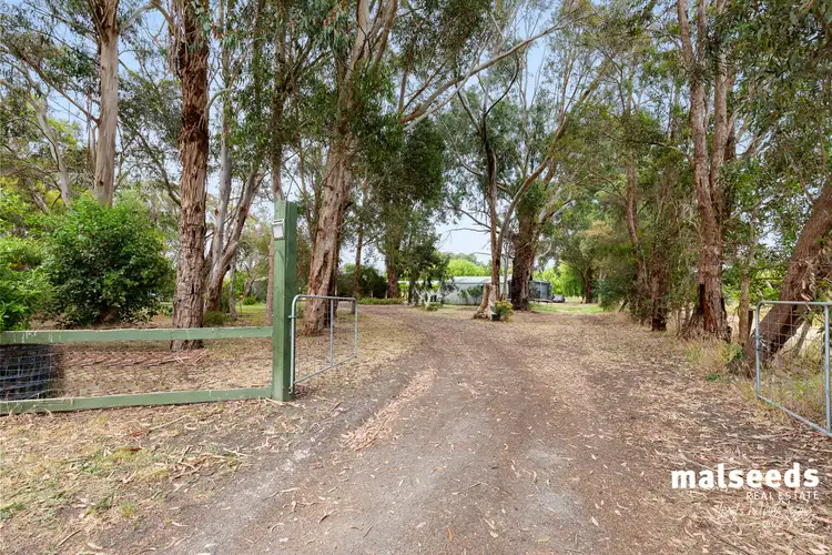 Third view of Homely rural property listing, 697 Old Kalangadoo-Penola Road, Moerlong SA 5278