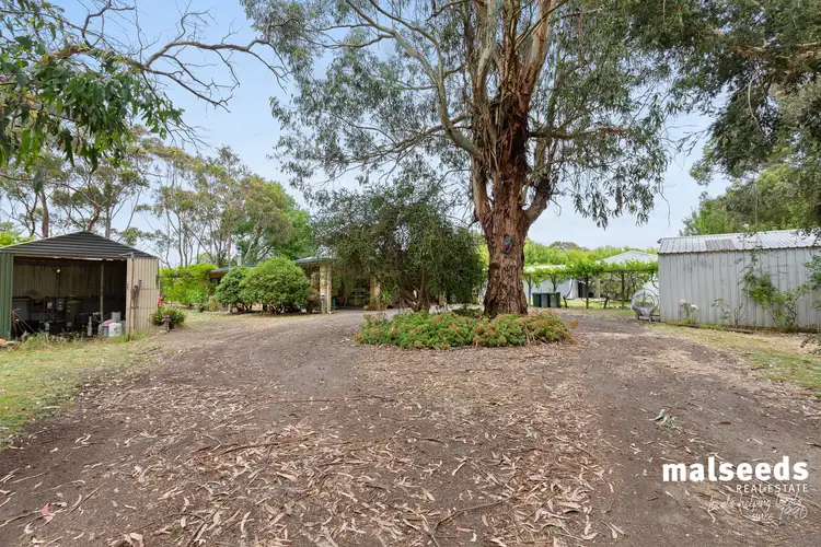 Fourth view of Homely rural property listing, 697 Old Kalangadoo-Penola Road, Moerlong SA 5278