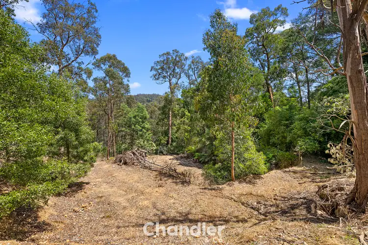 Third view of Homely land listing, 224 Emerald-Monbulk Road, Monbulk VIC 3793