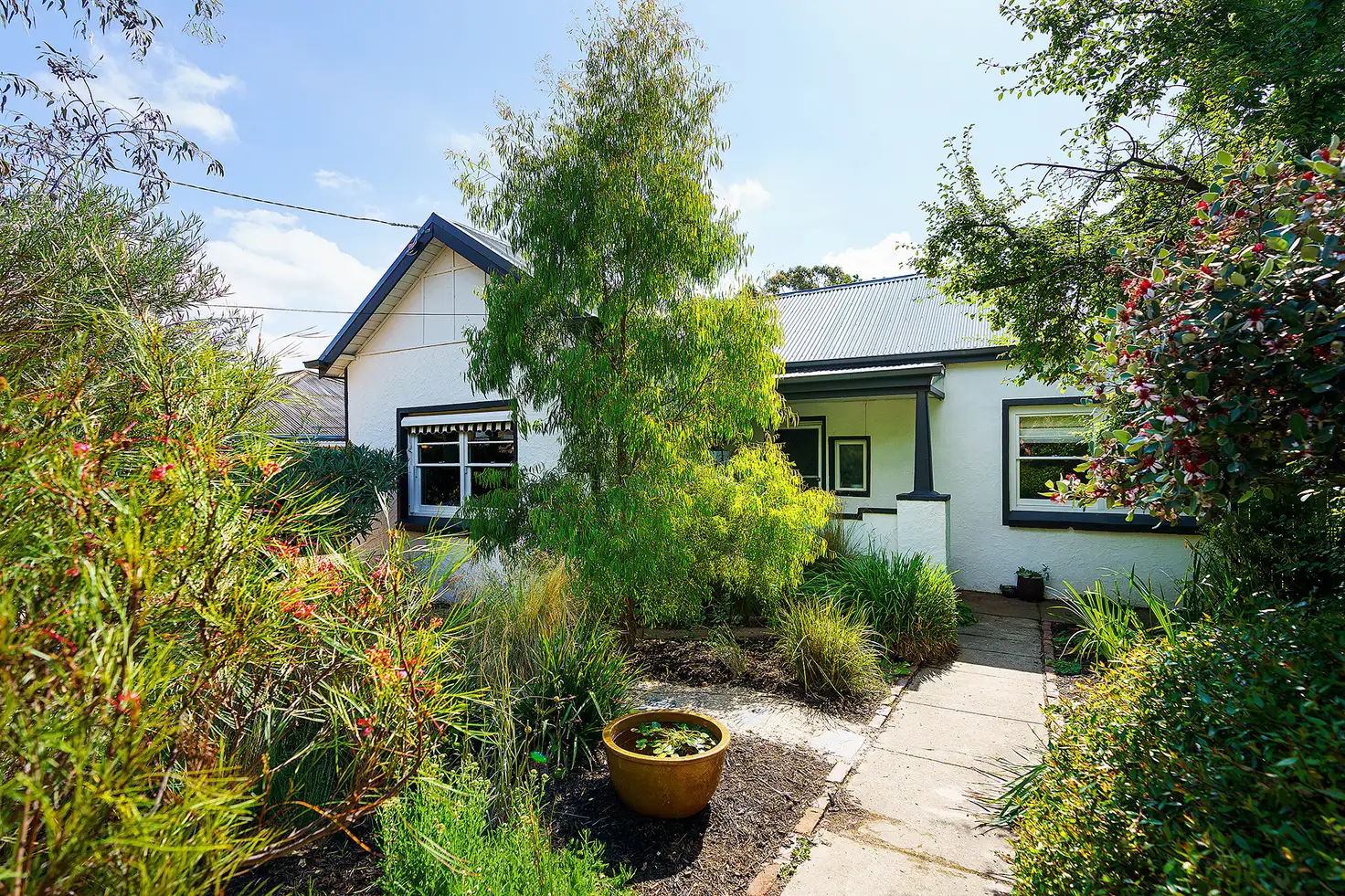 Main view of Homely house listing, 15 MacLise Street, Castlemaine VIC 3450