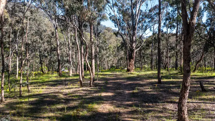 Second view of Homely rural property listing, 433 Maitland Bar Road, Mudgee NSW 2850