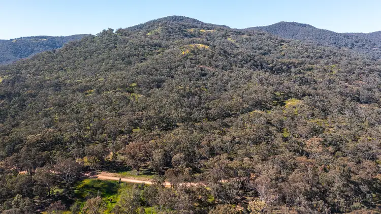 Fourth view of Homely rural property listing, 433 Maitland Bar Road, Mudgee NSW 2850