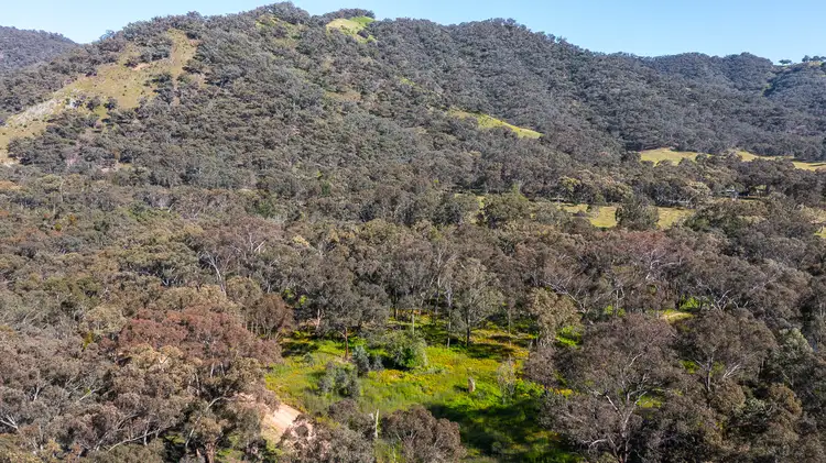 Seventh view of Homely rural property listing, 433 Maitland Bar Road, Mudgee NSW 2850