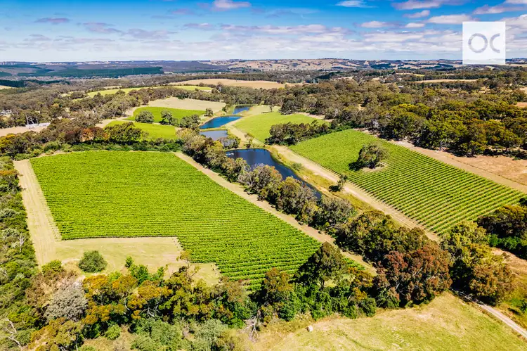 Second view of Homely rural property listing, 772 Range Road, The Range SA 5172