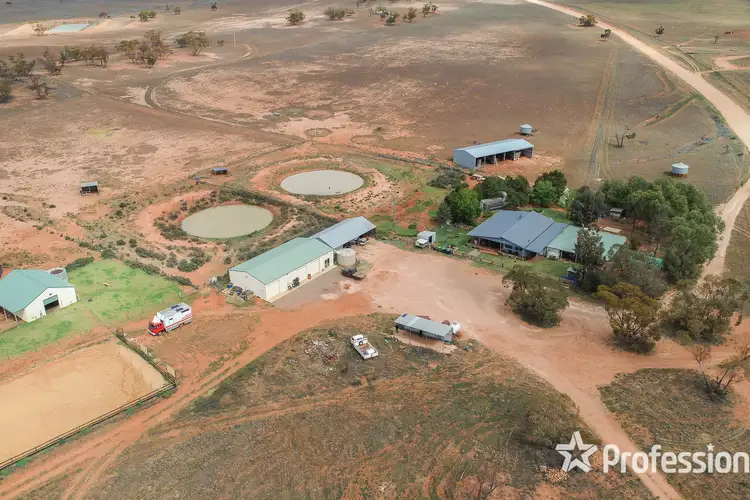 1290 Petro Mail Road, Arumpo NSW 2715