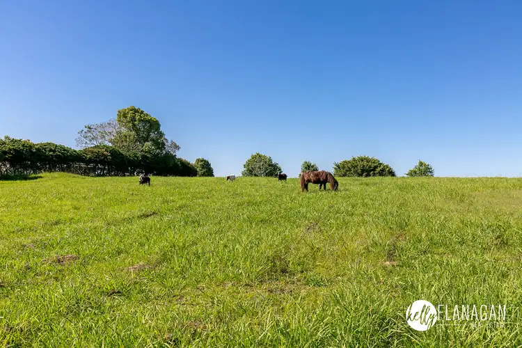 Fourth view of Homely land listing, Lot 3 Red Hill Lane, Pola Creek NSW 2440