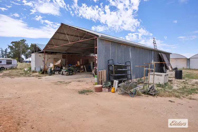 Seventh view of Homely rural property listing, 194 Delta Road, Curlwaa NSW 2648