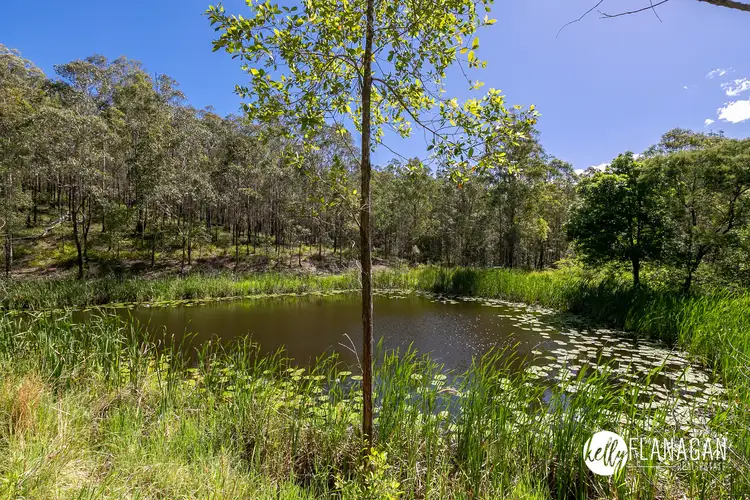 Third view of Homely rural property listing, 1363 Hickeys Creek Road, Millbank NSW 2440