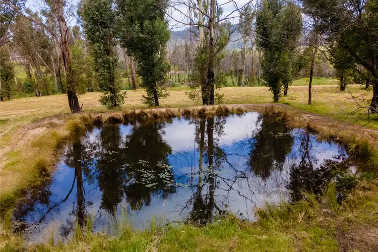 Fourth view of Homely rural property listing, 42 Orient Street, Quaama NSW 2550