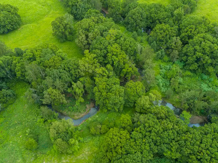 Third view of Homely rural property listing, 15 Crofton Road, Nimbin NSW 2480