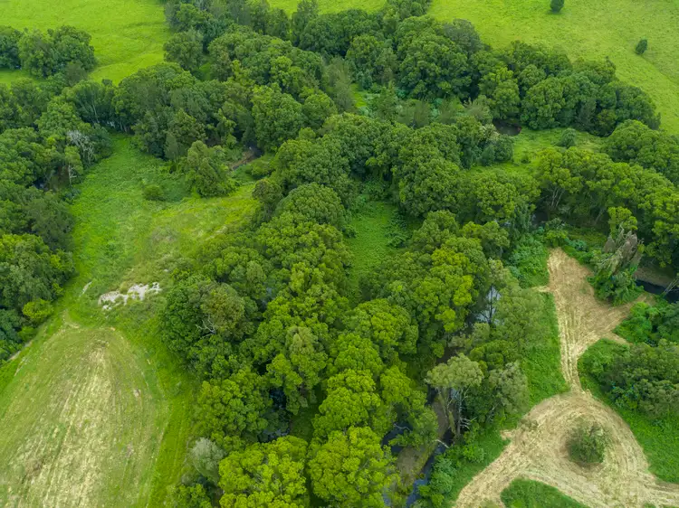 Fourth view of Homely rural property listing, 15 Crofton Road, Nimbin NSW 2480