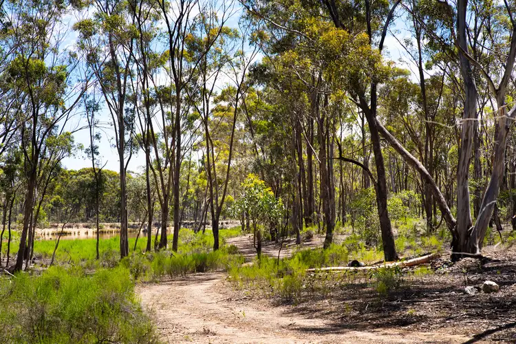 Seventh view of Homely land listing, 46 Sandon-Clydesdale Road, Sandon VIC 3462