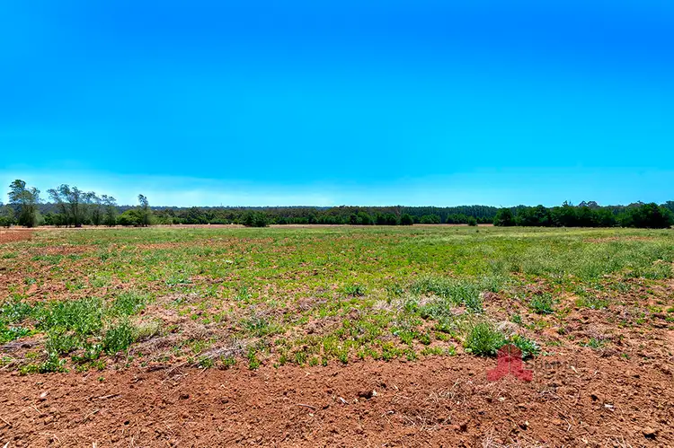 Fourth view of Homely rural property listing, 874 Hurst Road, Argyle WA 6239
