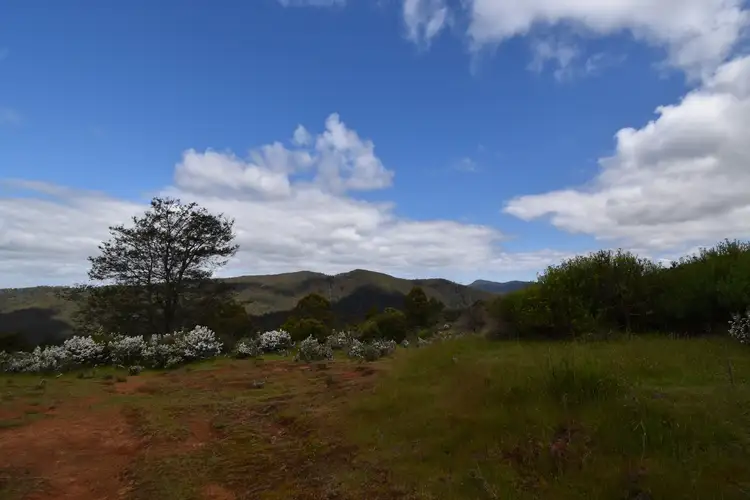 Second view of Homely rural property listing, 9 Smiths Plains Road, South Nietta TAS 7315