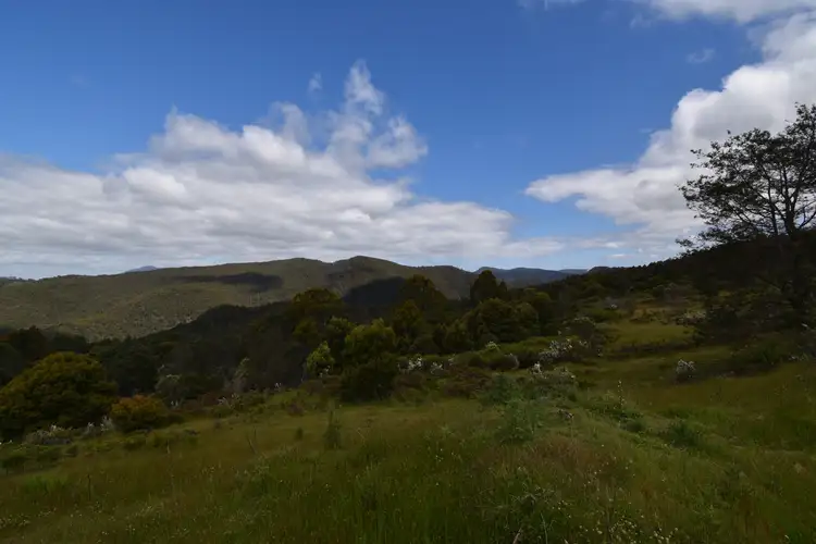 Seventh view of Homely rural property listing, 9 Smiths Plains Road, South Nietta TAS 7315