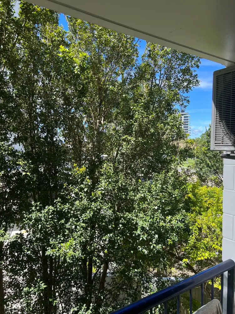 Sixth view of Homely unit listing, 38/2877 Gold Coast Highway, Surfers Paradise QLD 4217