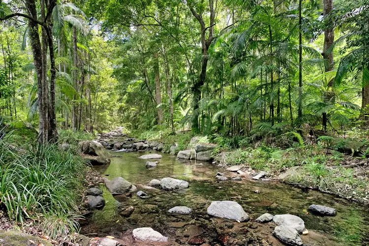 1064 Aherns Road, Conondale QLD 4552