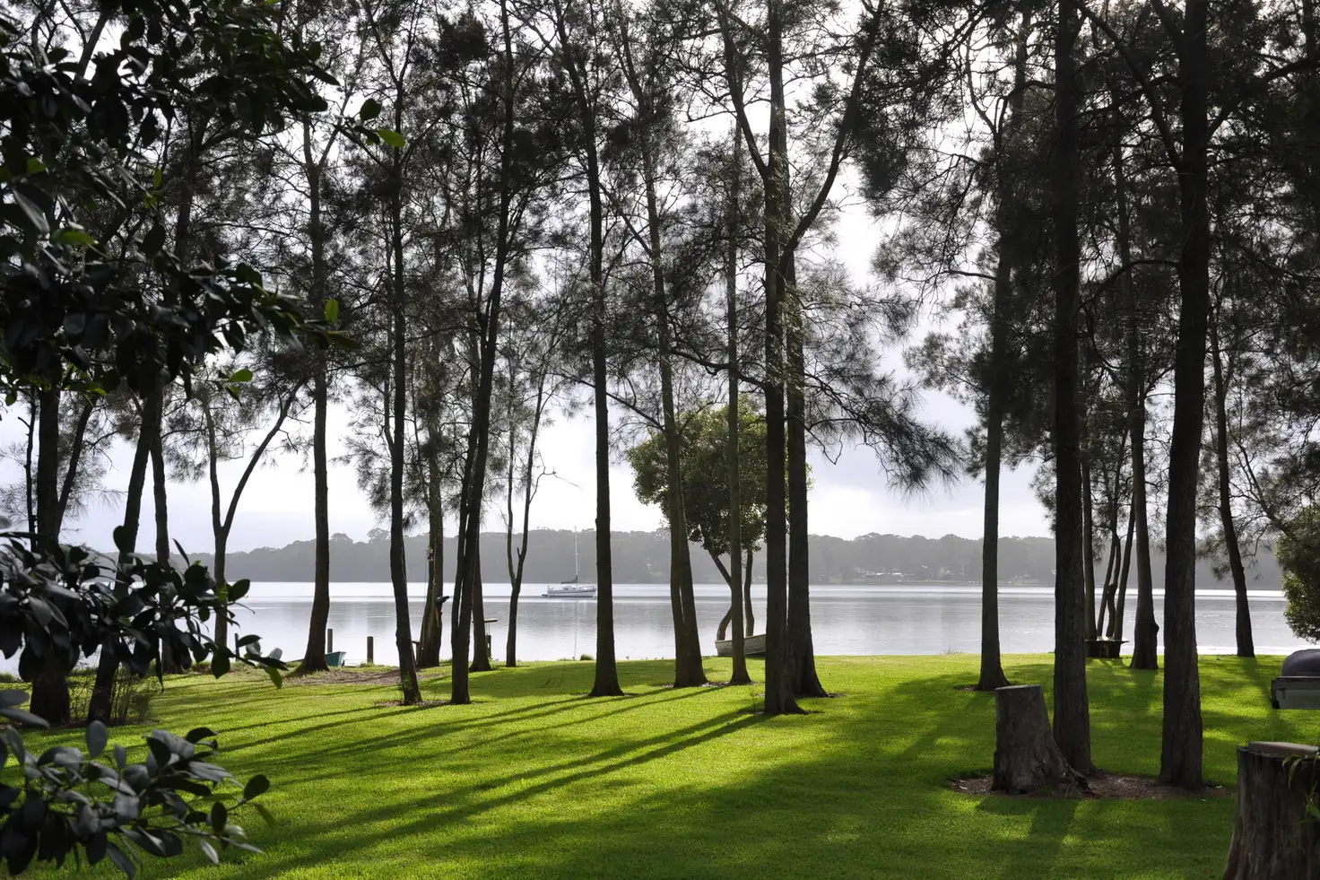 Main view of Homely house listing, 21 Lakeshore Avenue, Kingfisher Shores NSW 2259
