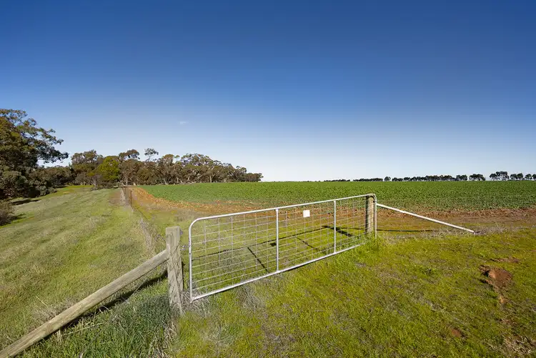 Fifth view of Homely land listing, 195 Pickerings Lane, Baringhup West VIC 3463