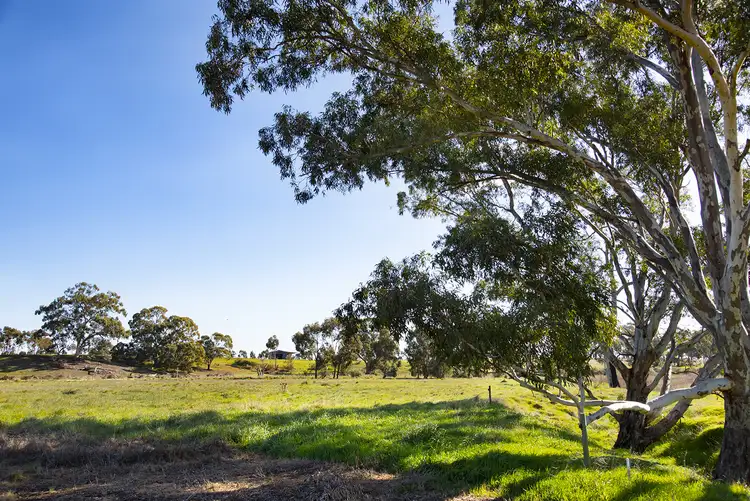 Sixth view of Homely land listing, 195 Pickerings Lane, Baringhup West VIC 3463