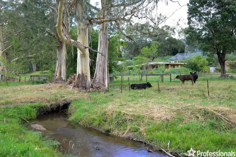 Second view of Homely house listing, 1075 Little Yarra Road, Three Bridges VIC 3797