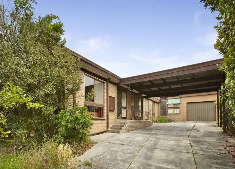 1/17 Currajong Street