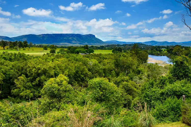 Fifth view of Homely house listing, 687 Beechwood Road, Beechwood NSW 2446