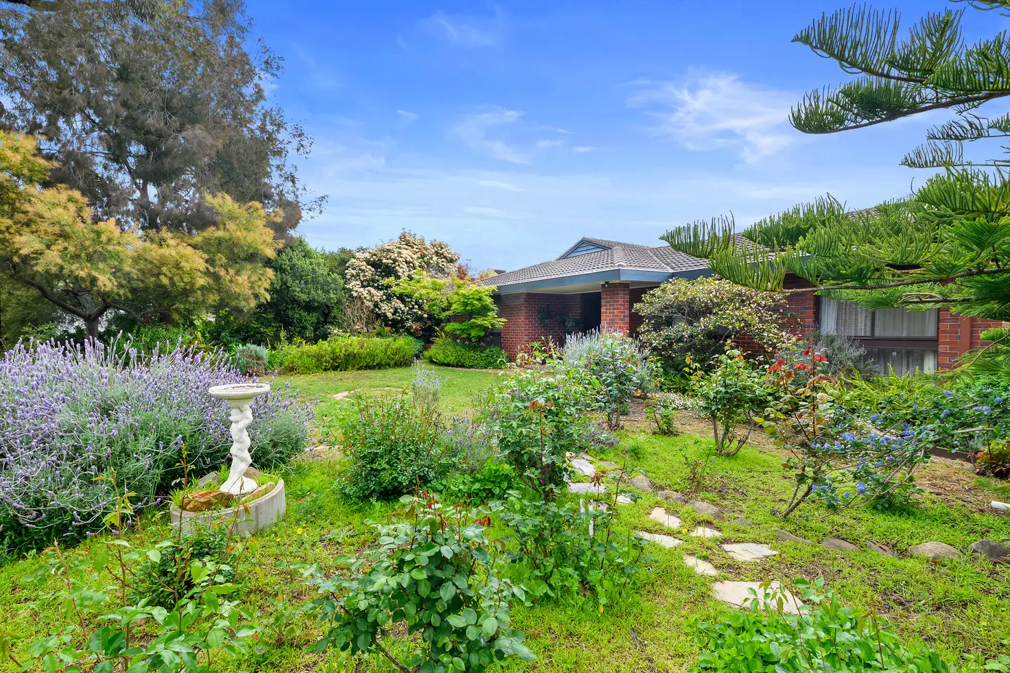Main view of Homely house listing, 185 Harley Street, Strathdale VIC 3550