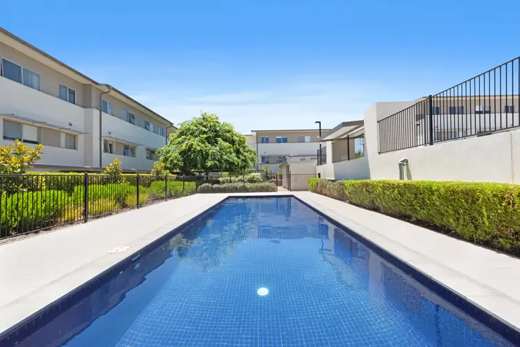 Main view of Homely apartment listing, 73/311 Flemington Road, Franklin ACT 2913