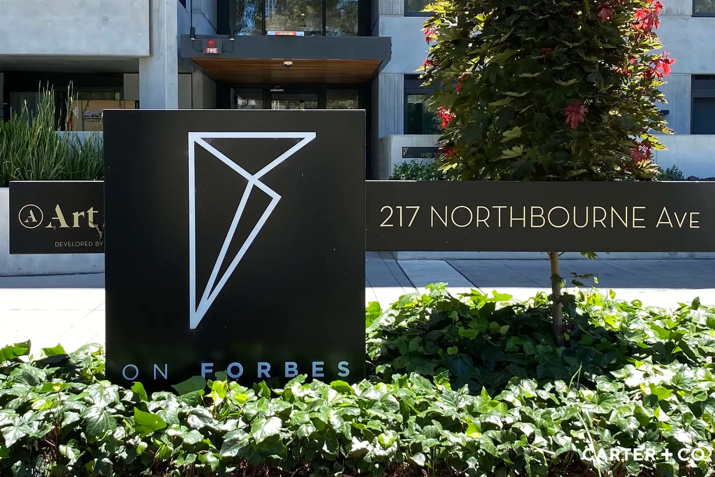 Main view of Homely apartment listing, 15/217 Northbourne Avenue, Turner ACT 2612