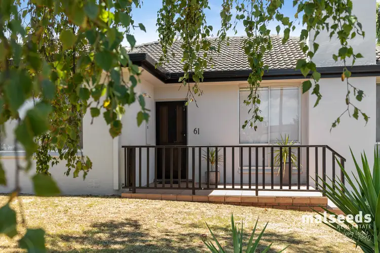 Main view of Homely house listing, 61 Kurrajong Street, Mount Gambier SA 5290