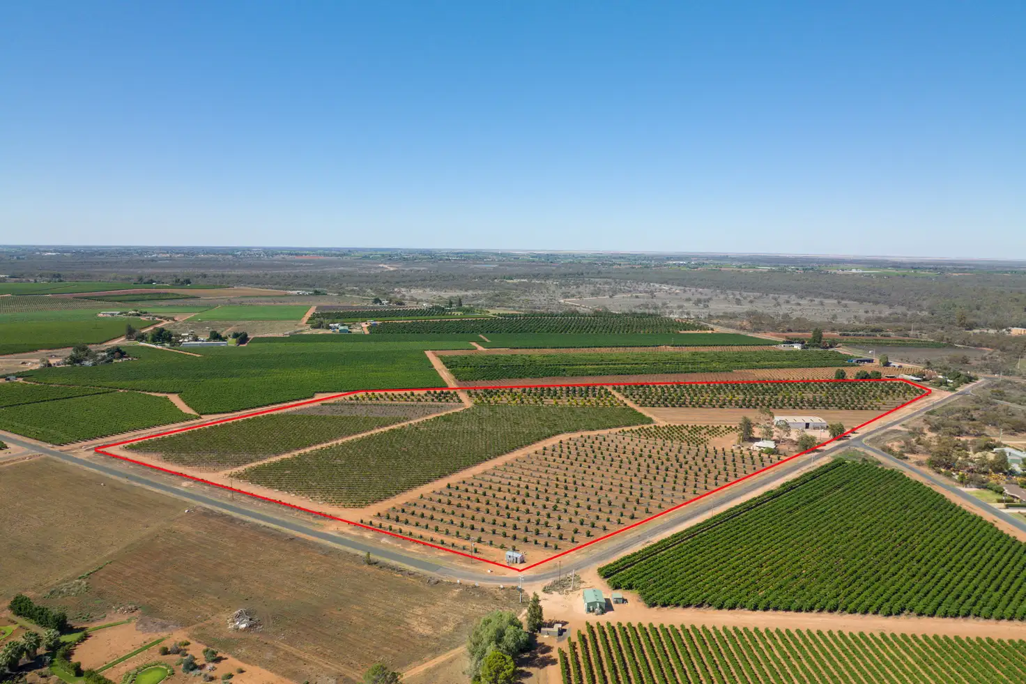 Main view of Homely rural property listing, 42 Boronia Crescent, Coomealla NSW 2717