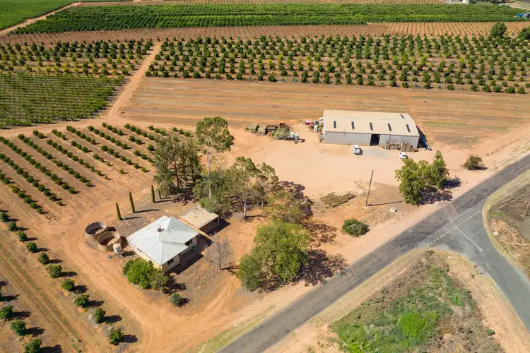 Second view of Homely rural property listing, 42 Boronia Crescent, Coomealla NSW 2717