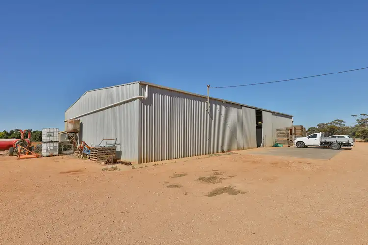 Fourth view of Homely rural property listing, 42 Boronia Crescent, Coomealla NSW 2717