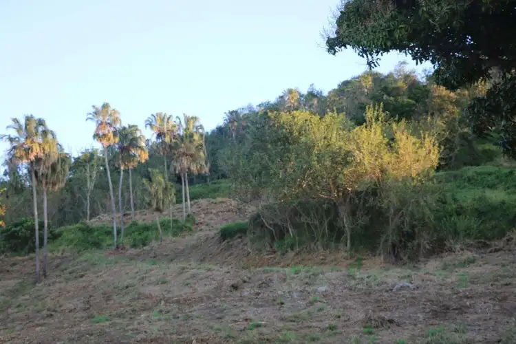 Seventh view of Homely land listing, Lot 18 Ridgewood Drive, Farleigh QLD 4741