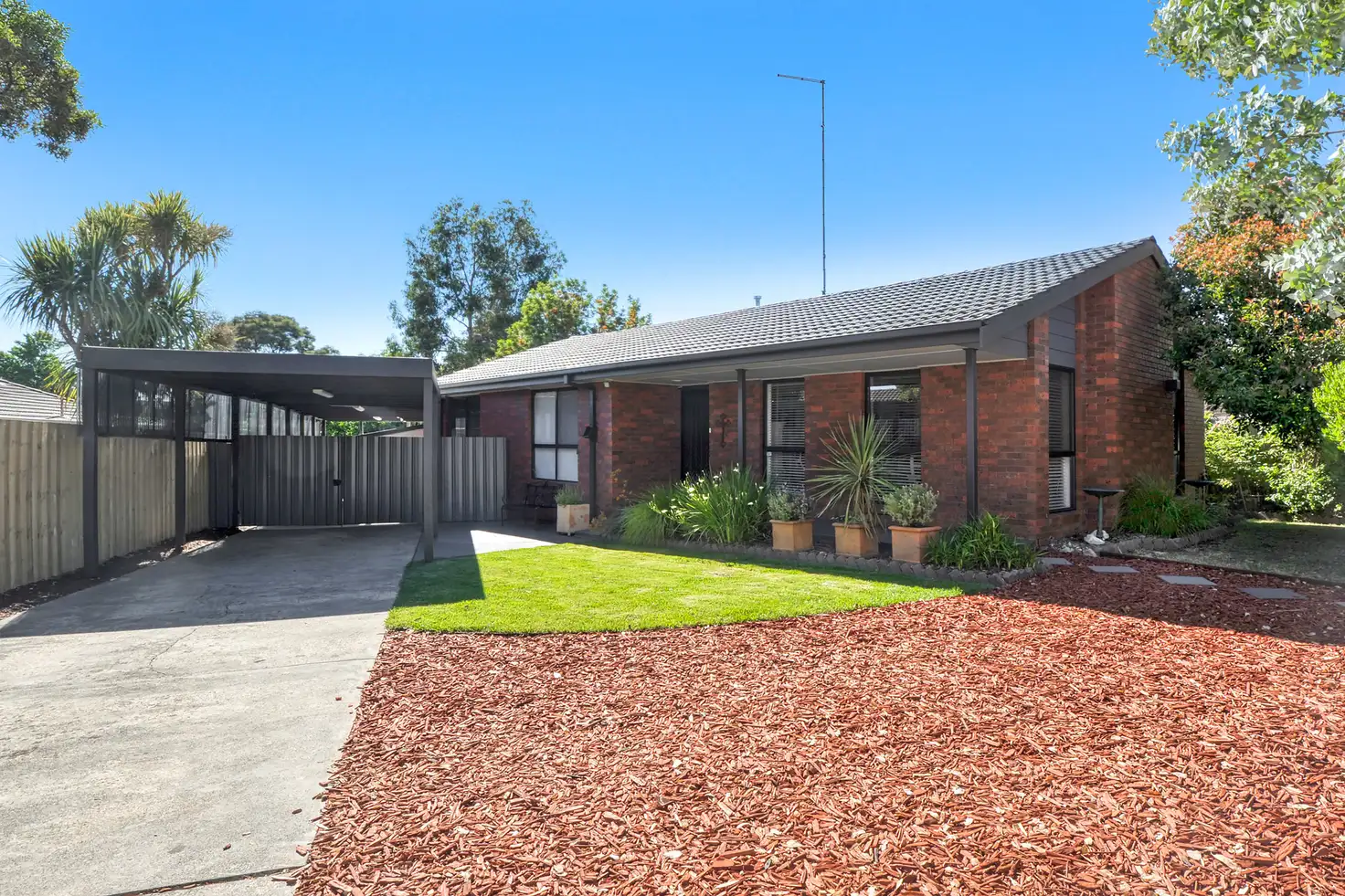 Main view of Homely house listing, 109 Mansfield Avenue, Mount Clear VIC 3350