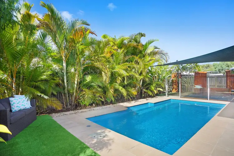 Main view of Homely house listing, 43 Sweetlip Circuit, Mountain Creek QLD 4557