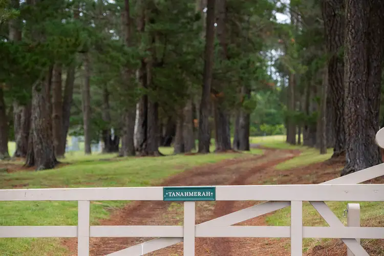 Main view of Homely rural property listing, 120 Martins Road, Wingello NSW 2579