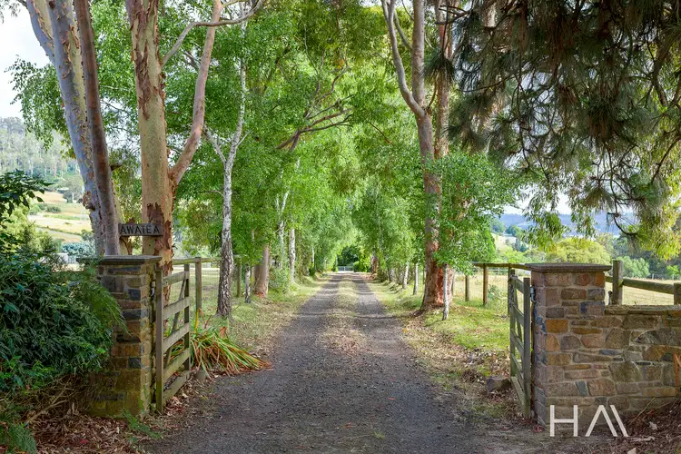 Second view of Homely house listing, 4 Muddy Creek Road, Legana TAS 7277