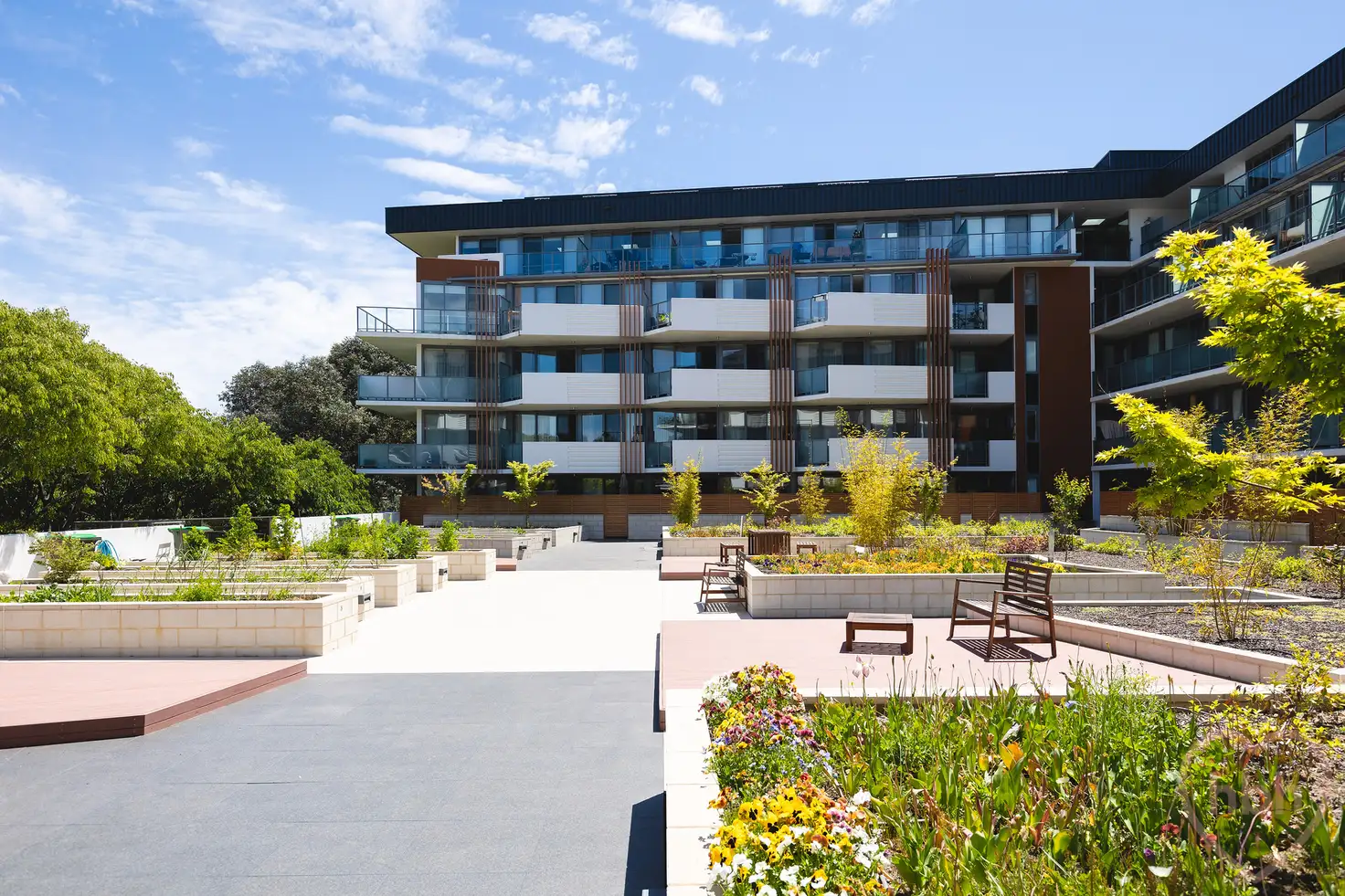 Main view of Homely apartment listing, 410/6 Cape Street, Dickson ACT 2602
