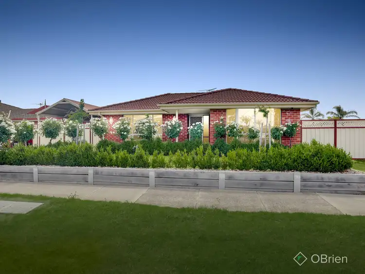 Main view of Homely house listing, 19 Pimelea Way, Hillside VIC 3037
