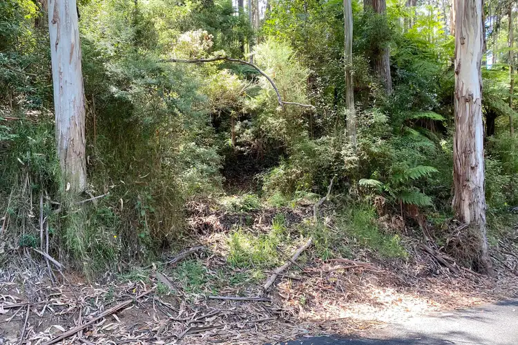 Fifth view of Homely land listing, LOT 1 on TP 10 Mt Baw Baw Tourist Road, Icy Creek VIC 3833