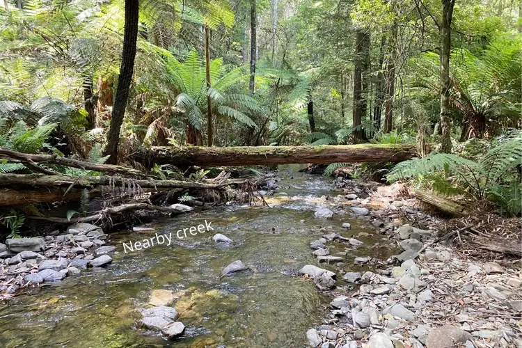 Sixth view of Homely land listing, LOT 1 on TP 10 Mt Baw Baw Tourist Road, Icy Creek VIC 3833